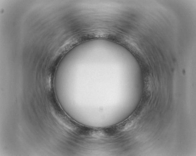 X0000088170262200706051124