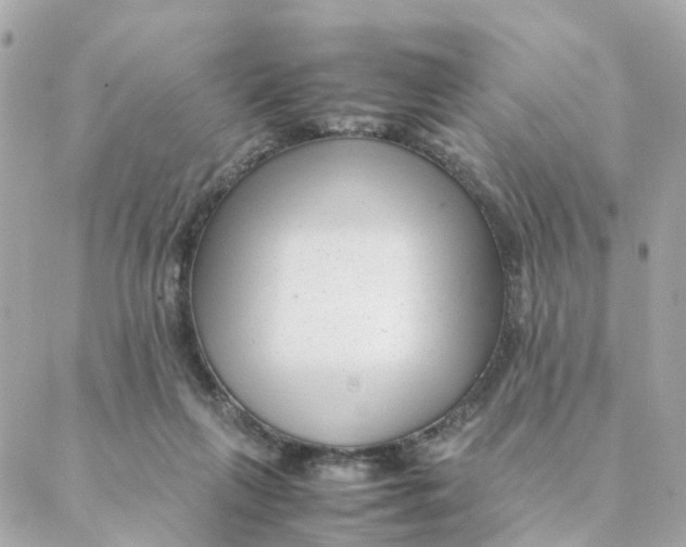 X0000088170263200706051124