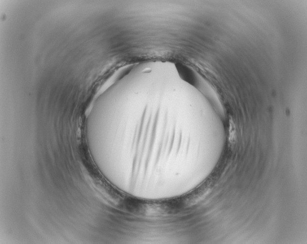 X0000088170264200706051124