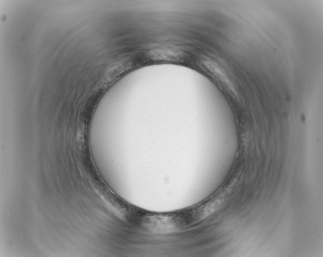 X0000088170265200706051124