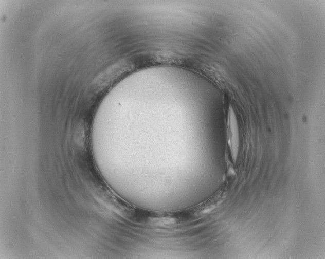 X0000088170266200706051124