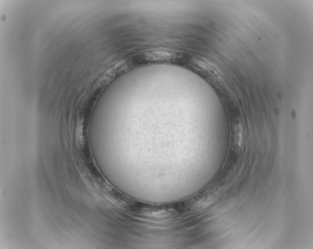 X0000088170267200706051124