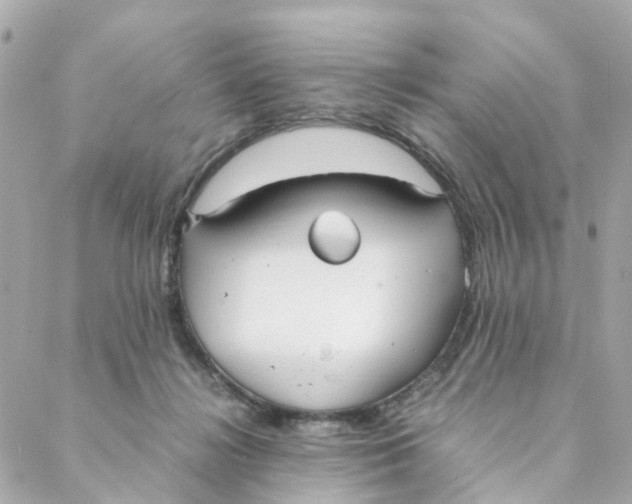 X0000088170268200706051124