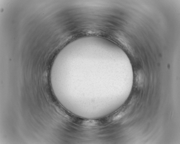 X0000088170269200706051124