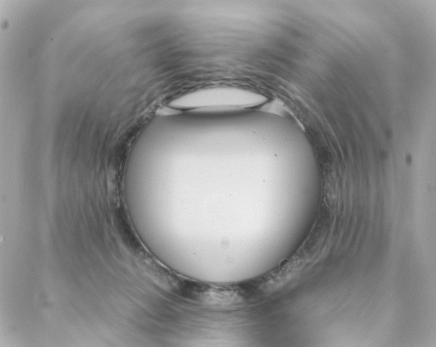 X0000088170270200706051124