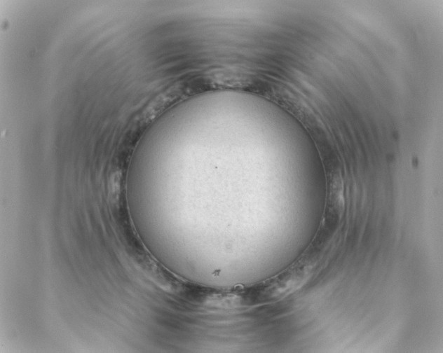 X0000088170271200706051124