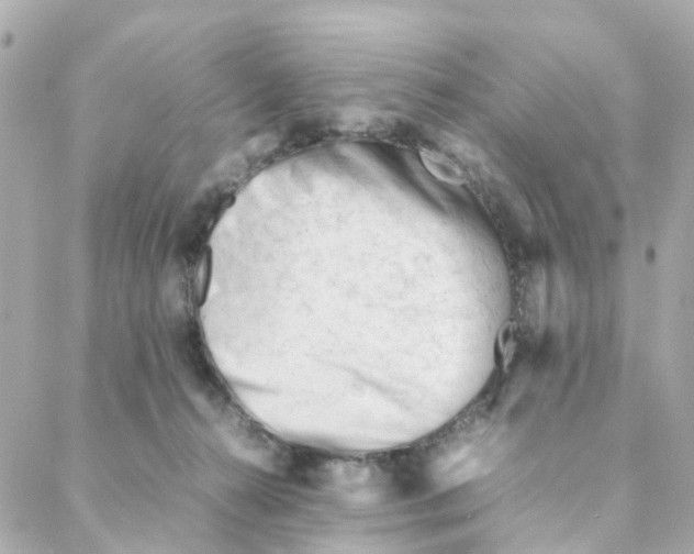 X0000088170272200706051124