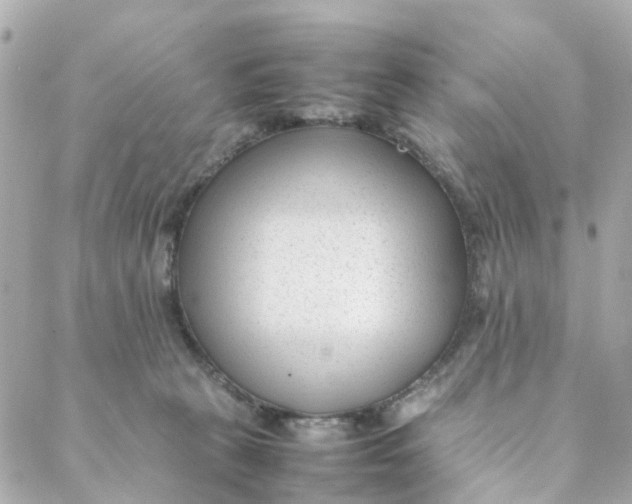 X0000088170273200706051124