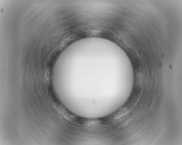 X0000088170274200706051124