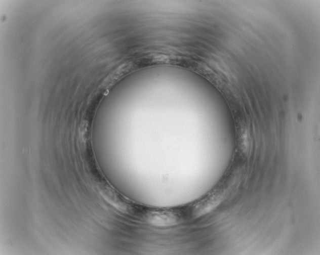 X0000088170275200706051124