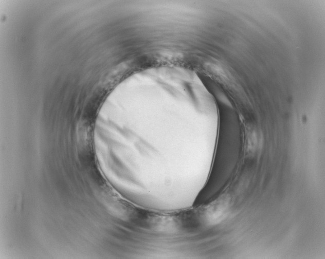 X0000088170276200706051124