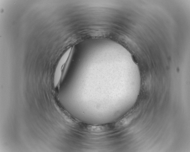 X0000088170277200706051124