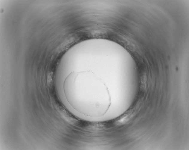 X0000088170278200706051124