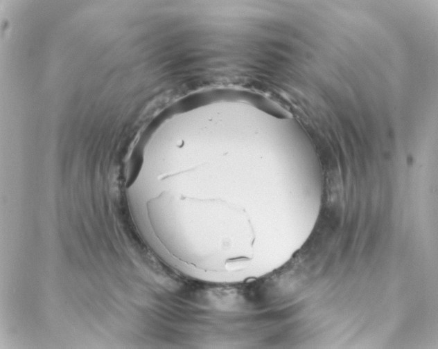 X0000088170279200706051124