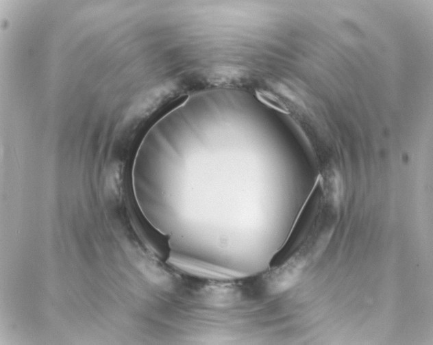 X0000088170280200706051124