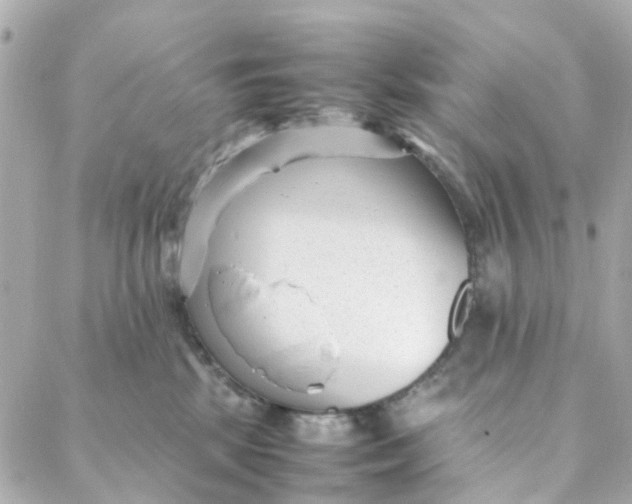 X0000088170281200706051124