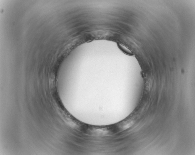 X0000088170283200706051124