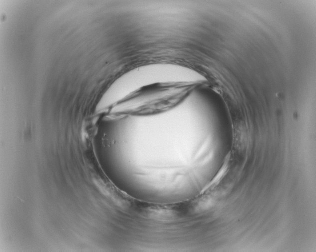 X0000088170284200706051124