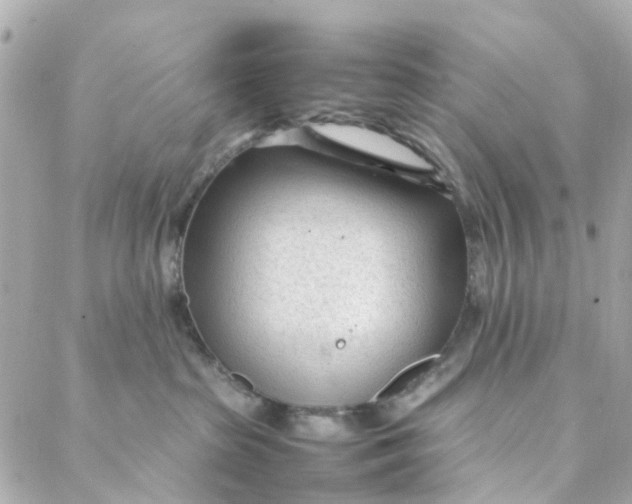 X0000088170285200706051124