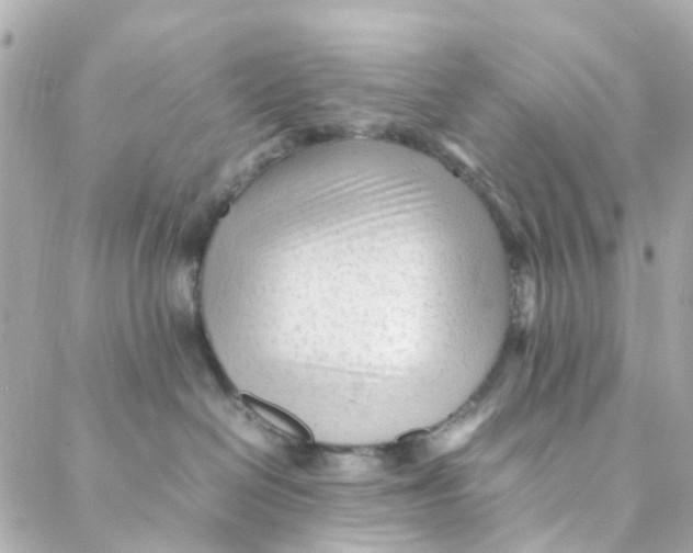 X0000088170286200706051124