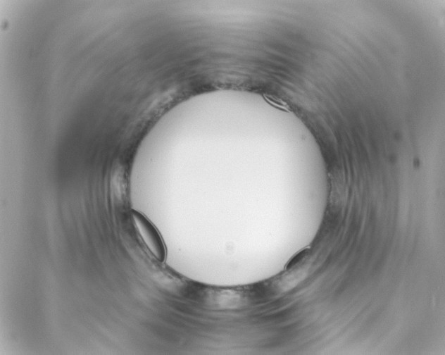 X0000088170287200706051124