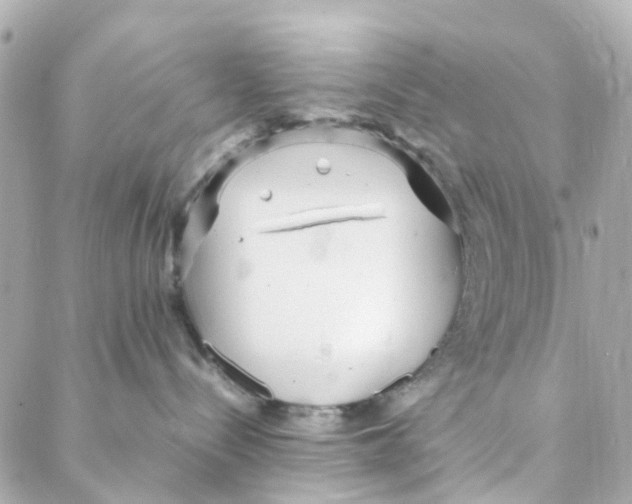 X0000088170288200706051124