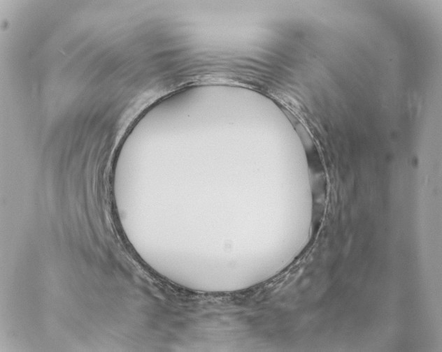 X0000088170289200706051123