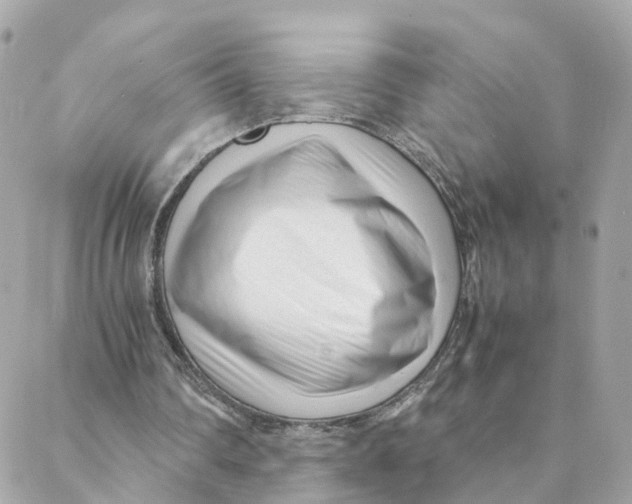 X0000088170290200706051123