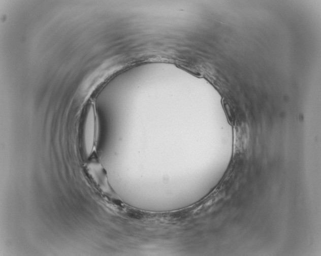 X0000088170291200706051123