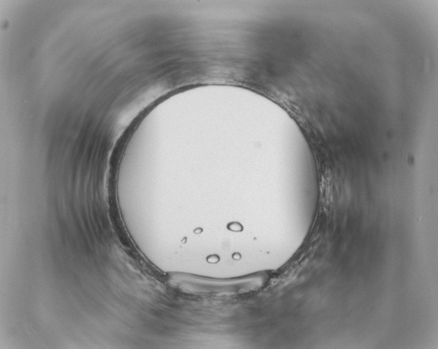 X0000088170292200706051123