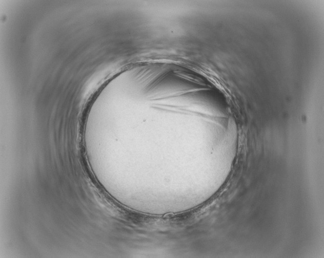 X0000088170293200706051123