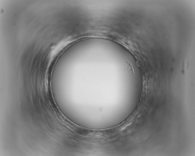 X0000088170294200706051123