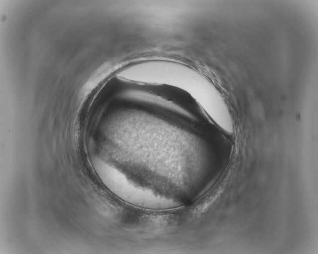 X0000088170295200706051123