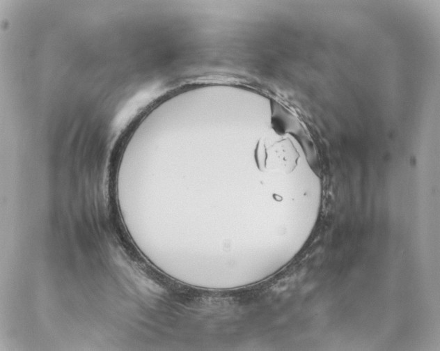 X0000088170296200706051123