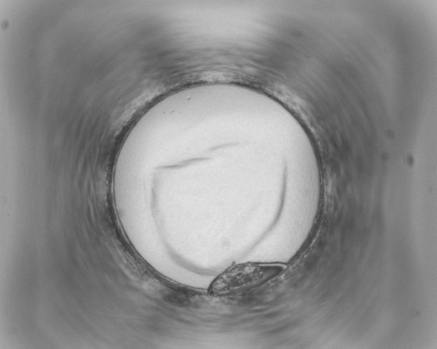 X0000088170297200706051123