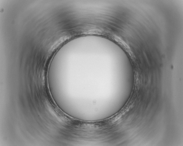 X0000088170298200706051123