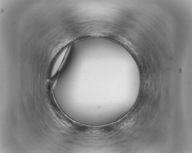 X0000088170299200706051123