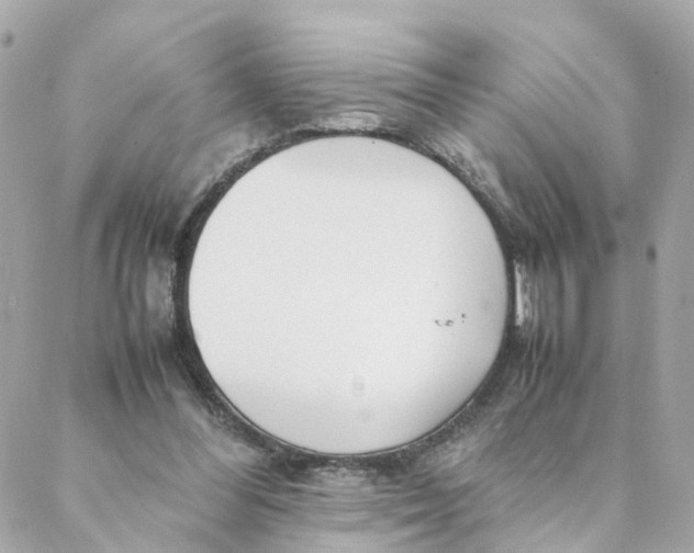 X0000088170300200706051123