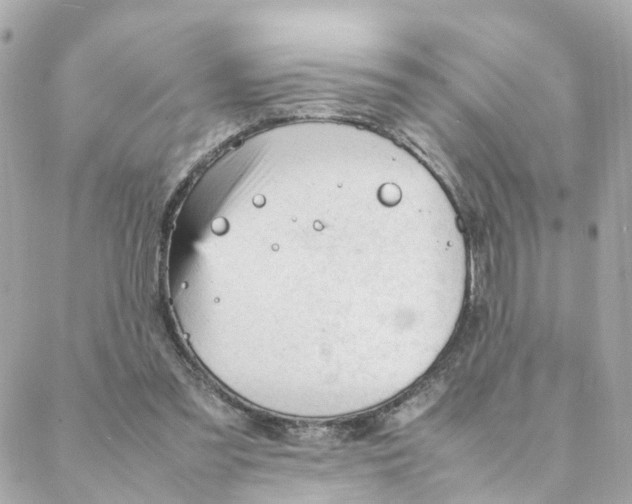 X0000088170301200706051123