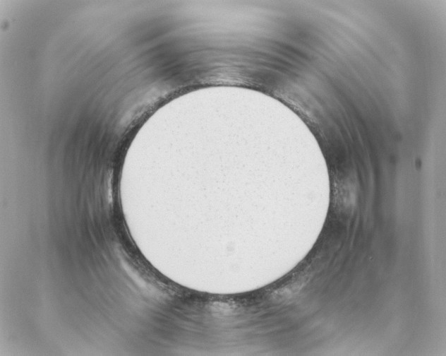 X0000088170302200706051123