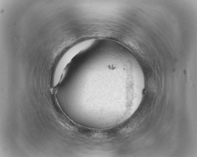 X0000088170303200706051123