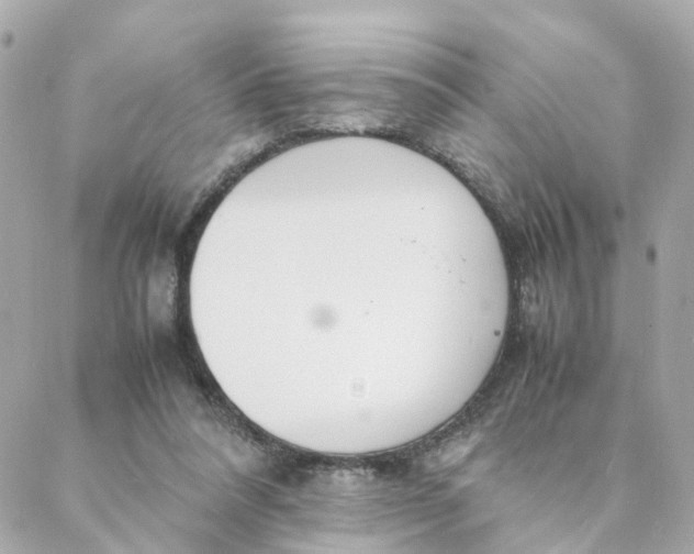 X0000088170304200706051123