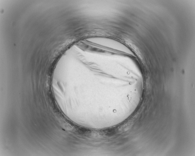 X0000088170305200706051123