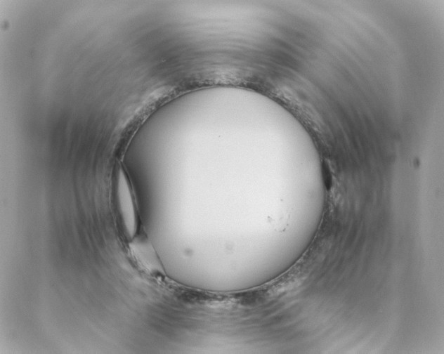 X0000088170306200706051123