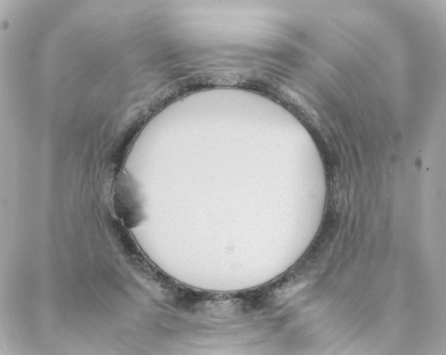 X0000088170307200706051123