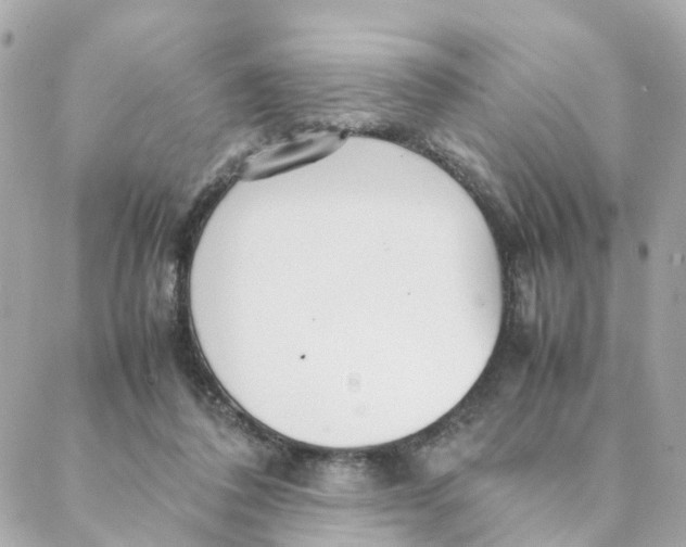 X0000088170308200706051123