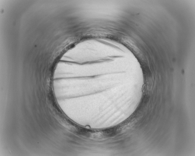 X0000088170309200706051123