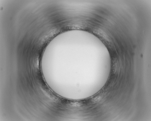 X0000088170310200706051123