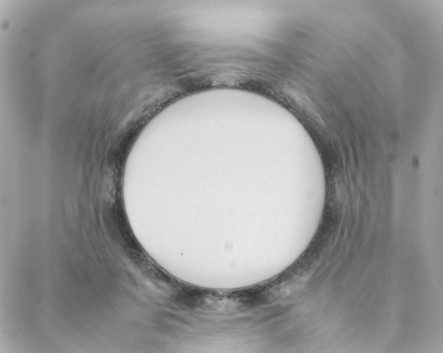 X0000088170311200706051123