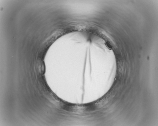 X0000088170313200706051123